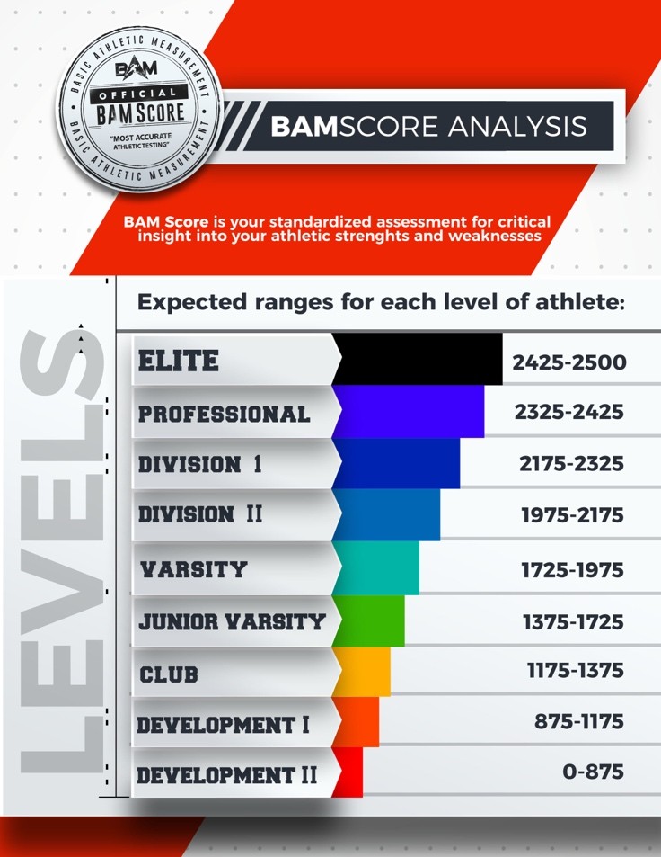 What is the BAMScore?